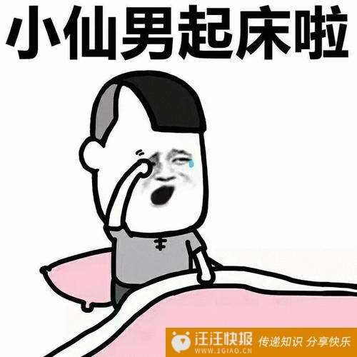 软男什么意思什么梗？泛指像女性一样阴柔、不阳刚的男生-汪汪快报